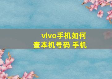 vivo手机如何查本机号码 手机